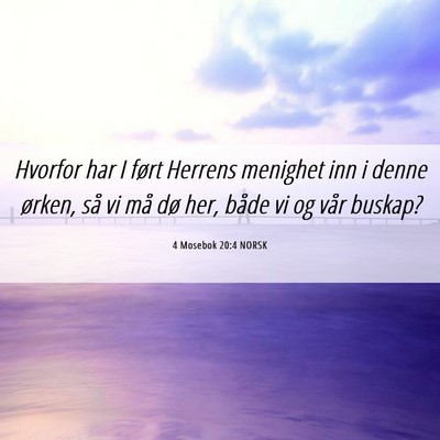 Picture 06 - 4 Mosebok 20:4 NORSK - Hvorfor har I ført Herrens menighet inn i denne - Bible Verse Picture