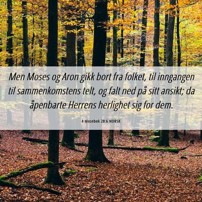 Picture 06 - 4 Mosebok 20:6 NORSK - Men Moses og Aron gikk bort fra folket, til - Bible Verse Picture