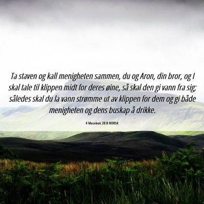 Picture 06 - 4 Mosebok 20:8 NORSK - Ta staven og kall menigheten sammen, du og Aron, - Bible Verse Picture