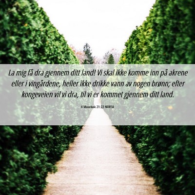 Picture 06 - 4 Mosebok 21:22 NORSK - La mig få dra gjennem ditt land! Vi skal ikke - Bible Verse Picture