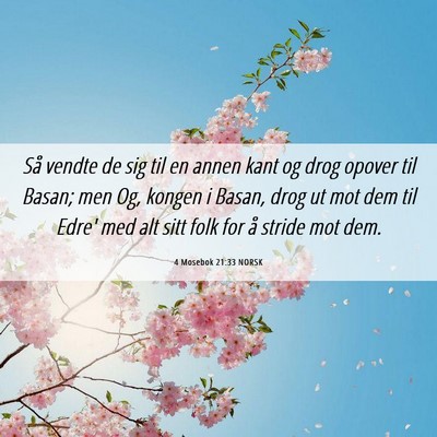 Picture 06 - 4 Mosebok 21:33 NORSK - Så vendte de sig til en annen kant og drog - Bible Verse Picture