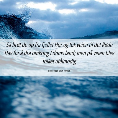 Picture 06 - 4 Mosebok 21:4 NORSK - Så brøt de op fra fjellet Hor og tok veien til - Bible Verse Picture
