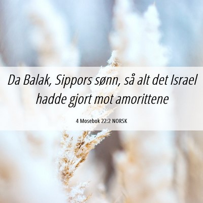 Picture 06 - 4 Mosebok 22:2 NORSK - Da Balak, Sippors sønn, så alt det Israel hadde - Bible Verse Picture