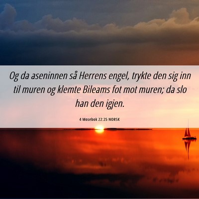 Picture 06 - 4 Mosebok 22:25 NORSK - Og da aseninnen så Herrens engel, trykte den sig - Bible Verse Picture