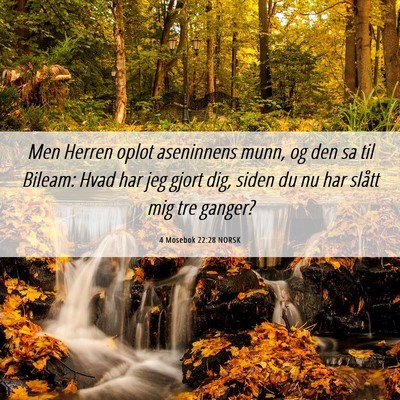 Picture 06 - 4 Mosebok 22:28 NORSK - Men Herren oplot aseninnens munn, og den sa til - Bible Verse Picture