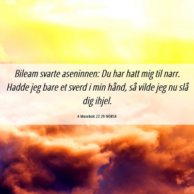 Picture 06 - 4 Mosebok 22:29 NORSK - Bileam svarte aseninnen: Du har hatt mig til - Bible Verse Picture