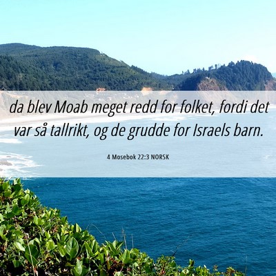 Picture 06 - 4 Mosebok 22:3 NORSK - da blev Moab meget redd for folket, fordi det var - Bible Verse Picture
