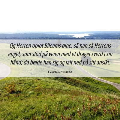 Picture 06 - 4 Mosebok 22:31 NORSK - Og Herren oplot Bileams øine, så han så - Bible Verse Picture