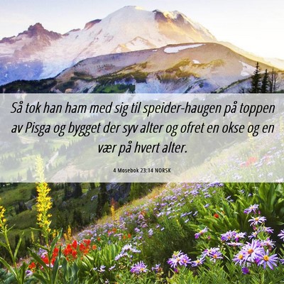 Picture 06 - 4 Mosebok 23:14 NORSK - Så tok han ham med sig til speider-haugen på - Bible Verse Picture