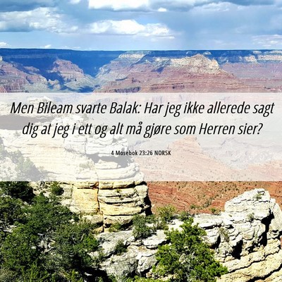 Picture 06 - 4 Mosebok 23:26 NORSK - Men Bileam svarte Balak: Har jeg ikke allerede - Bible Verse Picture