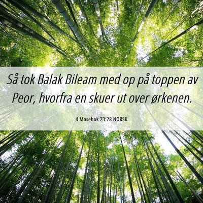 Picture 06 - 4 Mosebok 23:28 NORSK - Så tok Balak Bileam med op på toppen av Peor, - Bible Verse Picture