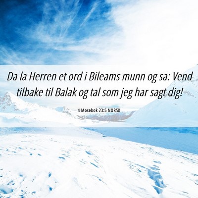 Picture 06 - 4 Mosebok 23:5 NORSK - Da la Herren et ord i Bileams munn og sa: Vend - Bible Verse Picture