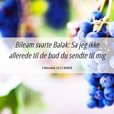 Picture 06 - 4 Mosebok 24:12 NORSK - Bileam svarte Balak: Sa jeg ikke allerede til de - Bible Verse Picture