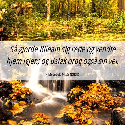 Picture 06 - 4 Mosebok 24:25 NORSK - Så gjorde Bileam sig rede og vendte hjem igjen; - Bible Verse Picture