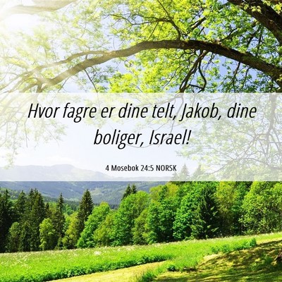 Picture 06 - 4 Mosebok 24:5 NORSK - Hvor fagre er dine telt, Jakob, dine boliger, - Bible Verse Picture