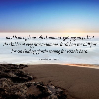 Picture 06 - 4 Mosebok 25:13 NORSK - med ham og hans efterkommere gjør jeg en pakt at - Bible Verse Picture