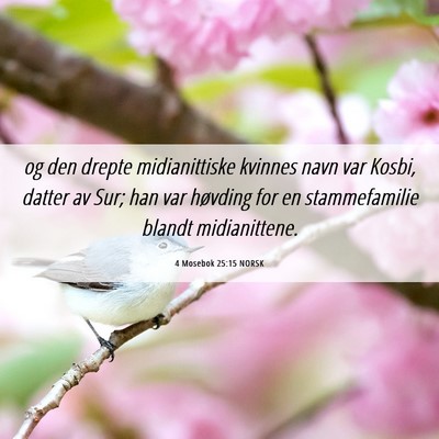 Picture 06 - 4 Mosebok 25:15 NORSK - og den drepte midianittiske kvinnes navn var - Bible Verse Picture