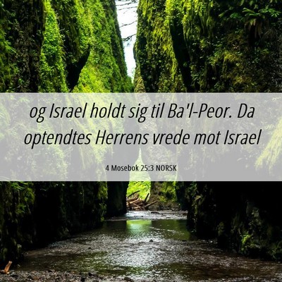 Picture 06 - 4 Mosebok 25:3 NORSK - og Israel holdt sig til Ba'l-Peor. Da optendtes - Bible Verse Picture