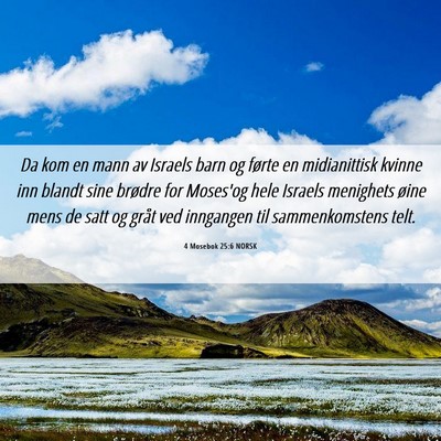 Picture 06 - 4 Mosebok 25:6 NORSK - Da kom en mann av Israels barn og førte en - Bible Verse Picture