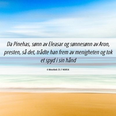 Picture 06 - 4 Mosebok 25:7 NORSK - Da Pinehas, sønn av Eleasar og sønnesønn av - Bible Verse Picture