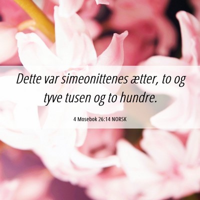 Picture 06 - 4 Mosebok 26:14 NORSK - Dette var simeonittenes ætter, to og tyve tusen - Bible Verse Picture