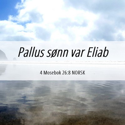Picture 06 - 4 Mosebok 26:8 NORSK - Pallus sønn var - Bible Verse Picture