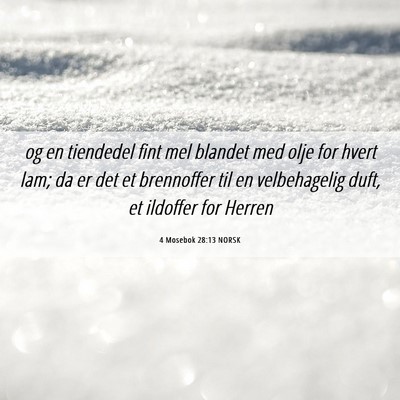 Picture 06 - 4 Mosebok 28:13 NORSK - og en tiendedel fint mel blandet med olje for - Bible Verse Picture