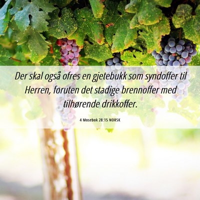Picture 06 - 4 Mosebok 28:15 NORSK - Der skal også ofres en gjetebukk som syndoffer - Bible Verse Picture
