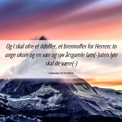 Picture 06 - 4 Mosebok 28:19 NORSK - Og I skal ofre et ildoffer, et brennoffer for - Bible Verse Picture