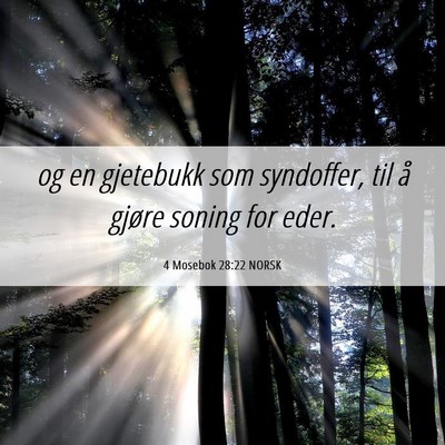 Picture 06 - 4 Mosebok 28:22 NORSK - og en gjetebukk som syndoffer, til å gjøre - Bible Verse Picture