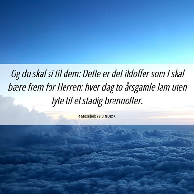 Picture 06 - 4 Mosebok 28:3 NORSK - Og du skal si til dem: Dette er det ildoffer som - Bible Verse Picture