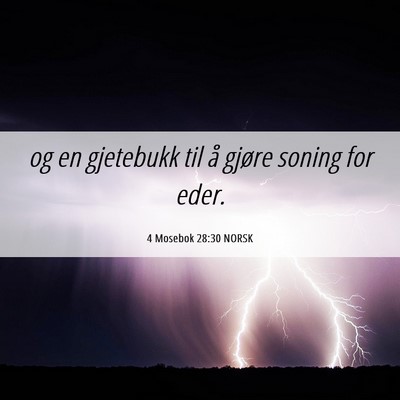 Picture 06 - 4 Mosebok 28:30 NORSK - og en gjetebukk til å gjøre soning for - Bible Verse Picture