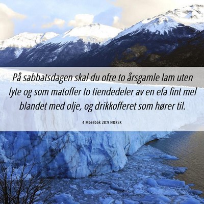 Picture 06 - 4 Mosebok 28:9 NORSK - På sabbatsdagen skal du ofre to årsgamle lam - Bible Verse Picture