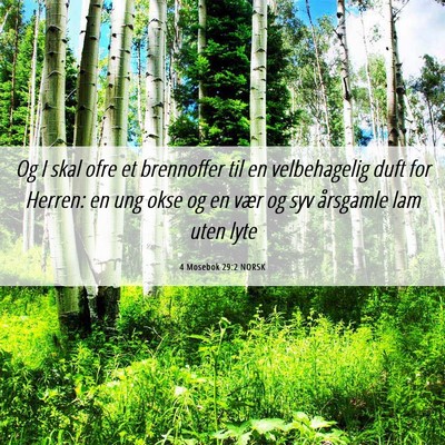 Picture 06 - 4 Mosebok 29:2 NORSK - Og I skal ofre et brennoffer til en velbehagelig - Bible Verse Picture