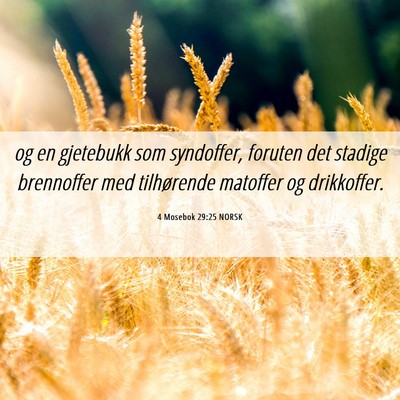 Picture 06 - 4 Mosebok 29:25 NORSK - og en gjetebukk som syndoffer, foruten det - Bible Verse Picture