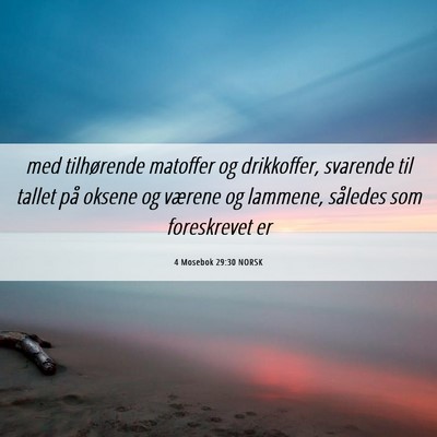Picture 06 - 4 Mosebok 29:30 NORSK - med tilhørende matoffer og drikkoffer, svarende - Bible Verse Picture