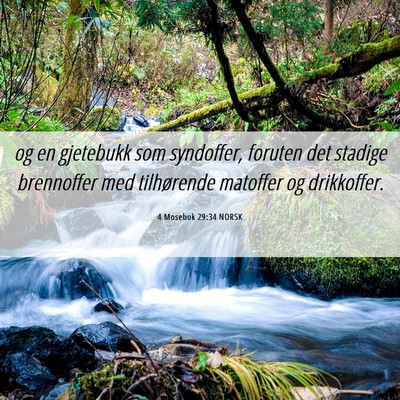 Picture 06 - 4 Mosebok 29:34 NORSK - og en gjetebukk som syndoffer, foruten det - Bible Verse Picture