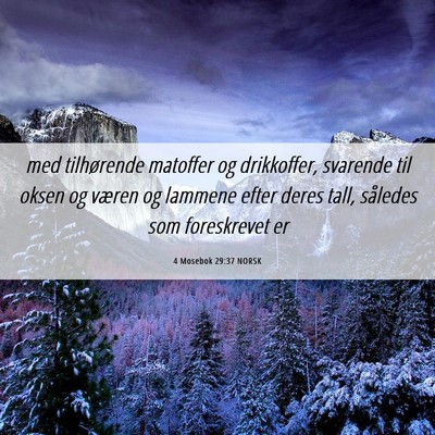 Picture 06 - 4 Mosebok 29:37 NORSK - med tilhørende matoffer og drikkoffer, svarende - Bible Verse Picture