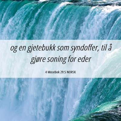 Picture 06 - 4 Mosebok 29:5 NORSK - og en gjetebukk som syndoffer, til å gjøre - Bible Verse Picture
