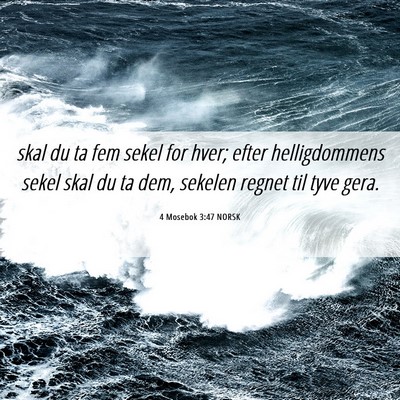 Picture 06 - 4 Mosebok 3:47 NORSK - skal du ta fem sekel for hver; efter - Bible Verse Picture