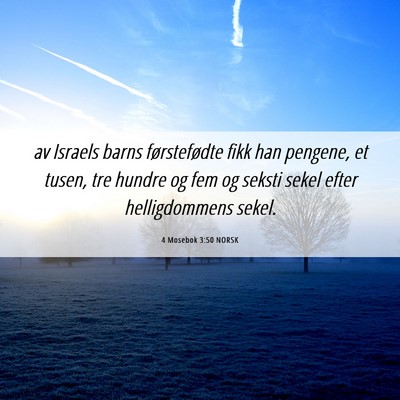Picture 06 - 4 Mosebok 3:50 NORSK - av Israels barns førstefødte fikk han pengene, - Bible Verse Picture