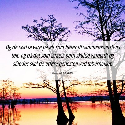 Picture 06 - 4 Mosebok 3:8 NORSK - Og de skal ta vare på alt som hører til - Bible Verse Picture