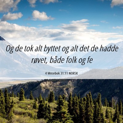 Picture 06 - 4 Mosebok 31:11 NORSK - Og de tok alt byttet og alt det de hadde røvet, - Bible Verse Picture