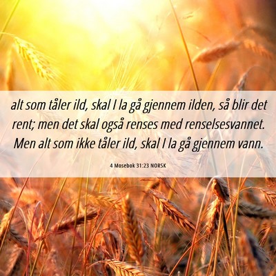 Picture 06 - 4 Mosebok 31:23 NORSK - alt som tåler ild, skal I la gå gjennem ilden, - Bible Verse Picture