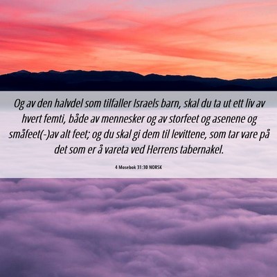Picture 06 - 4 Mosebok 31:30 NORSK - Og av den halvdel som tilfaller Israels barn, - Bible Verse Picture
