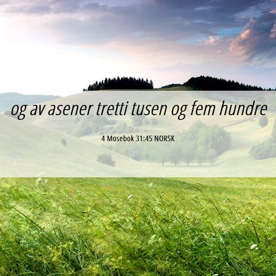 Picture 06 - 4 Mosebok 31:45 NORSK - og av asener tretti tusen og fem - Bible Verse Picture