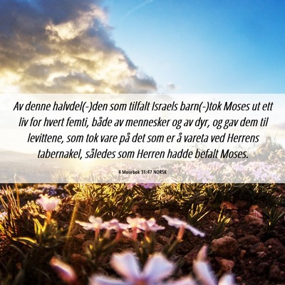 Picture 06 - 4 Mosebok 31:47 NORSK - Av denne halvdel(-)den som tilfalt Israels - Bible Verse Picture