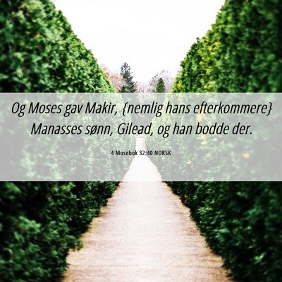 Picture 06 - 4 Mosebok 32:40 NORSK - Og Moses gav Makir, {nemlig hans efterkommere} - Bible Verse Picture