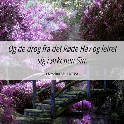 Picture 06 - 4 Mosebok 33:11 NORSK - Og de drog fra det Røde Hav og leiret sig i - Bible Verse Picture