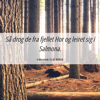 Picture 06 - 4 Mosebok 33:41 NORSK - Så drog de fra fjellet Hor og leiret sig i - Bible Verse Picture